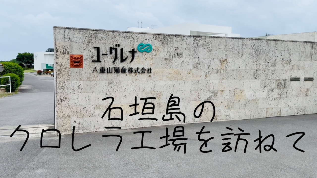八重山クロレラの歴史と効果｜石垣島の工場見学で見た「本物」の証
