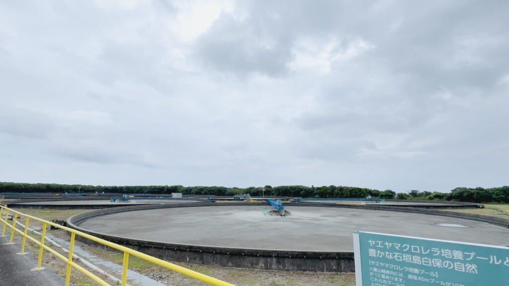 八重山殖産工場の空になったクロレラ培養プール（全量収穫・全量清掃の証）