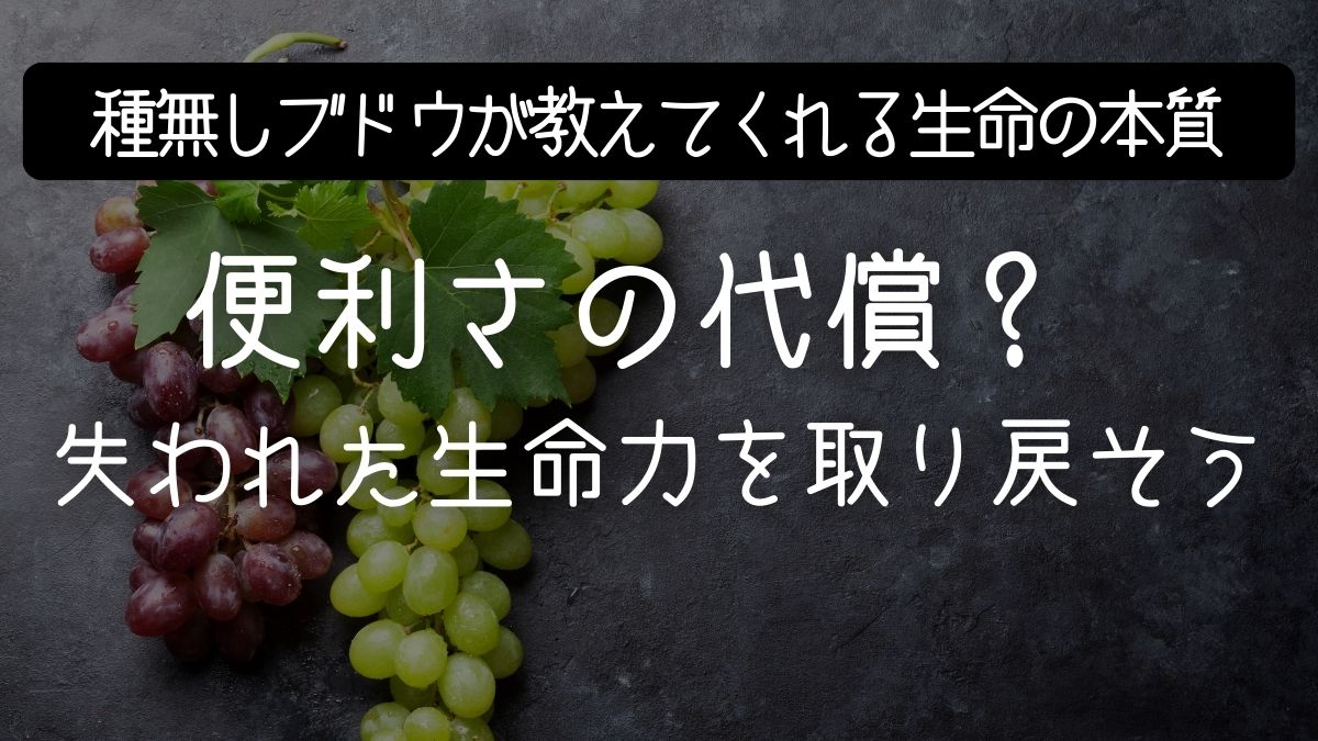 「種を残せない野菜」を食べていませんか？雄性不稔の真実と、失われた生命力を取り戻す方法