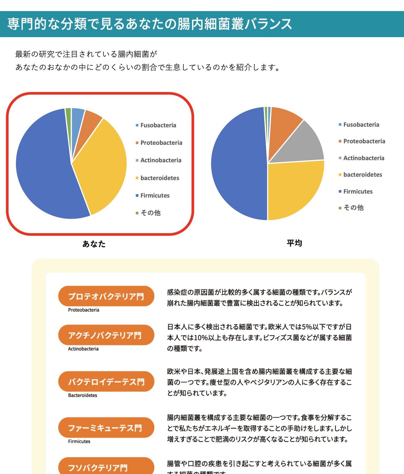 専門的な分類で見る私の腸内細菌叢バランスを表したグラフ