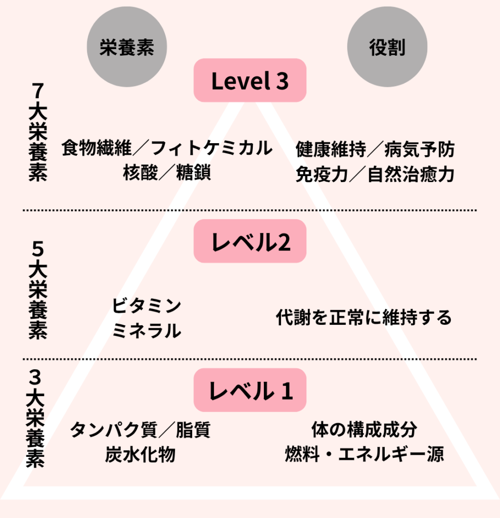 7大栄養素のピラミッド