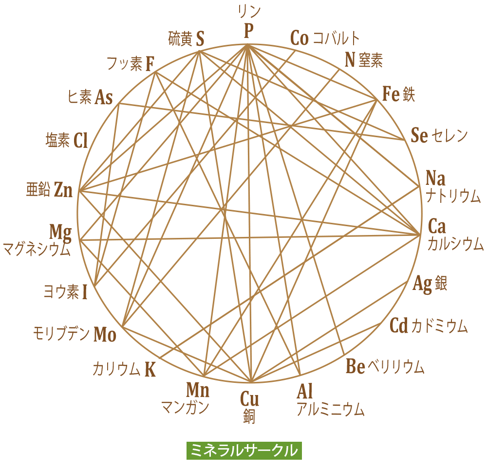 ミネラルサークルの図解