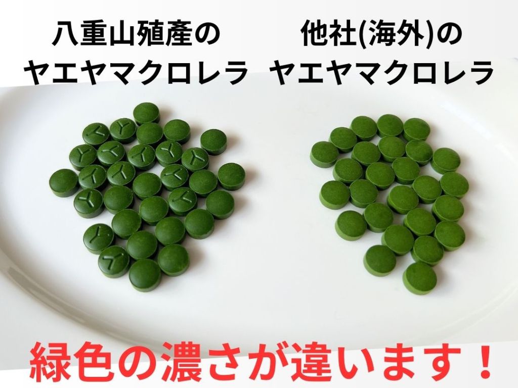 Comparison of color intensity between Yaeyama Chlorella produced in Yaeyama and Yaeyama Chlorella from other companies (overseas)