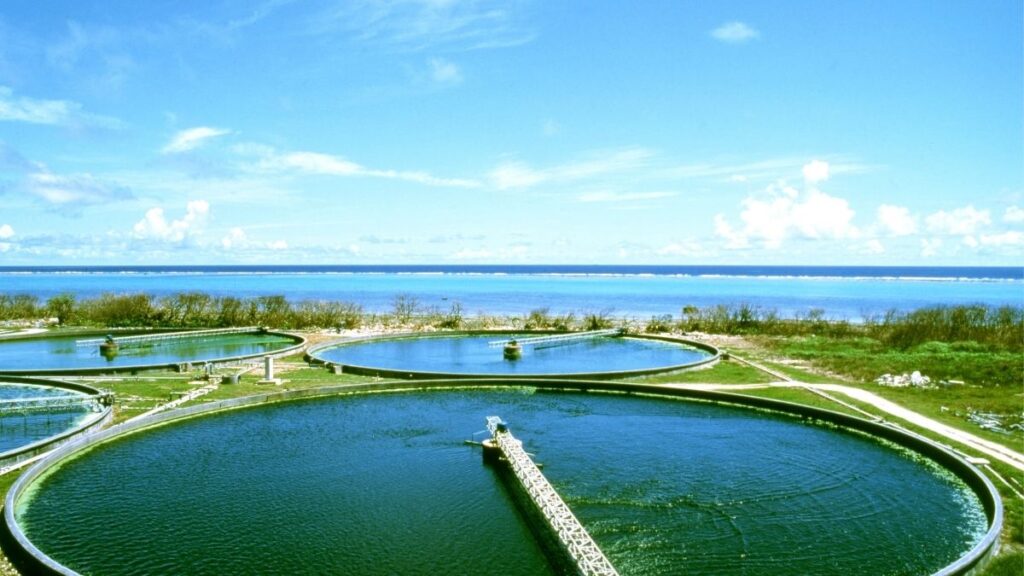 石垣島の太陽を浴びて育つ八重山クロレラの屋外培養プール