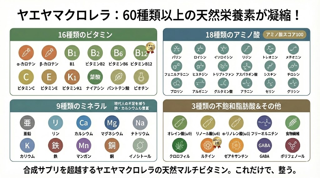 八重山クロレラの60種類以上の栄養素一覧。ビタミン、ミネラル、アミノ酸が相互に作用しあう相乗効果の図解。