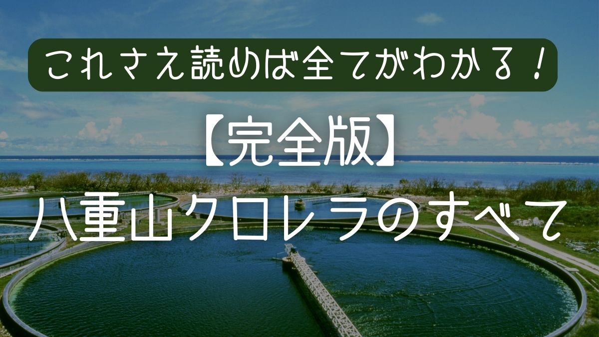 【完全版】クロレラとは？効果・飲み方・選び方まで。医師も注目する「スーパーフード」のすべて