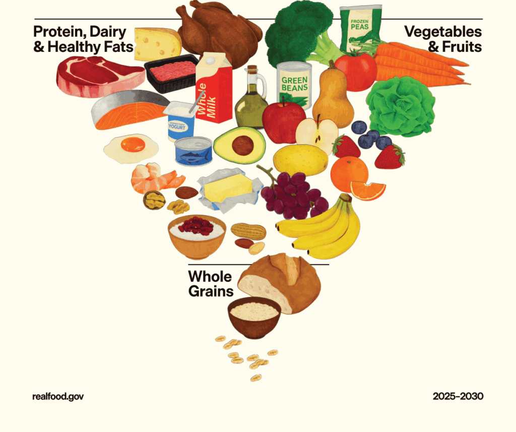 realfood.govが公開した2025年〜2030年の新食事ピラミッド。タンパク質、乳製品、良質な脂質、そして野菜と果物を最優先に摂取することを推奨する逆三角形の図解。