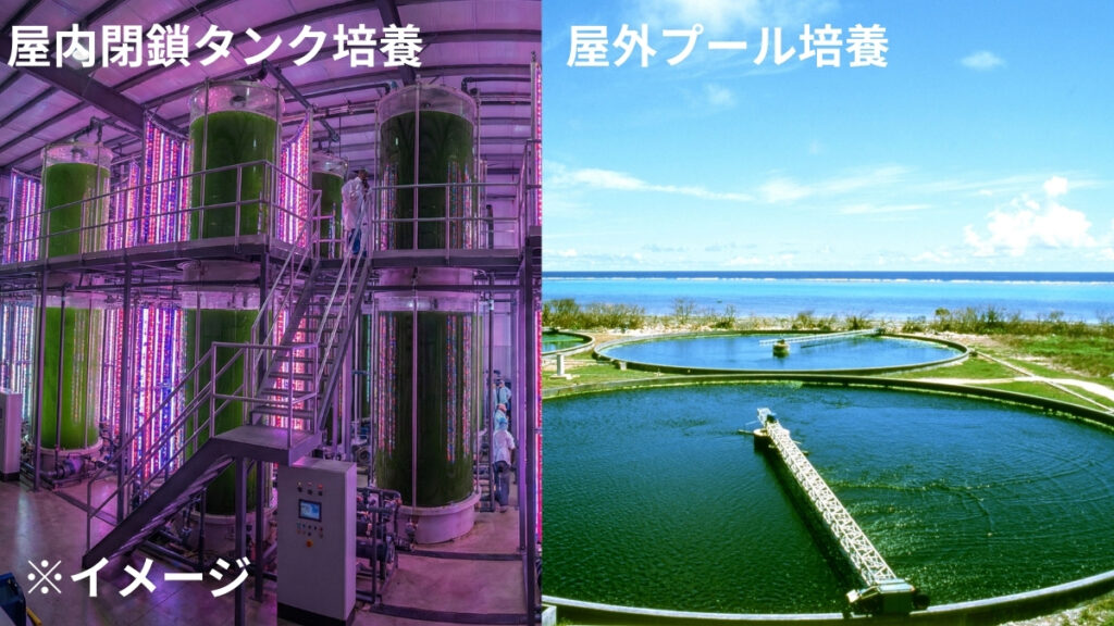 クロレラの培養方法の比較。左：屋内閉鎖タンクでLED人工光を照射して培養する方式（イメージ）。右：石垣島の屋外プールで天然の太陽光を浴びて培養する方式。