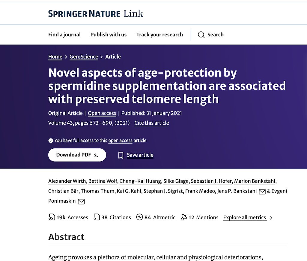 学術誌GeroScienceに掲載された論文「Novel aspects of age-protection by spermidine supplementation are associated with preserved telomere length」のSpringer Natureページ。スペルミジン補充によるテロメア長の保持と老化防御の新たな側面を報告した2021年の研究。