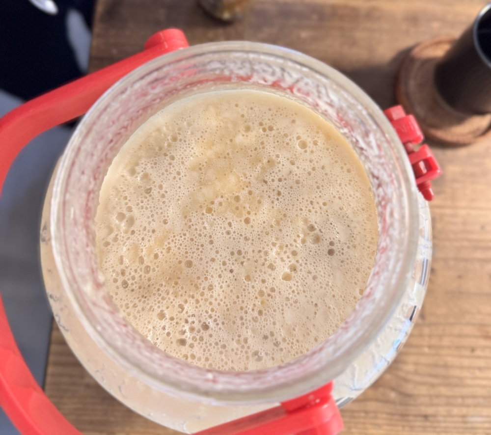 ニホンミツバチの生蜂蜜が自然発酵して表面に細かい泡が立っている様子を上から撮影した写真