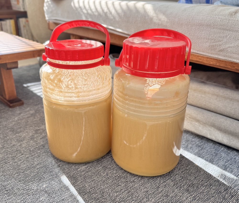 自宅用にバルクで仕入れたニホンミツバチの生蜂蜜が入った赤い蓋の大きな瓶が2本並んでいる様子