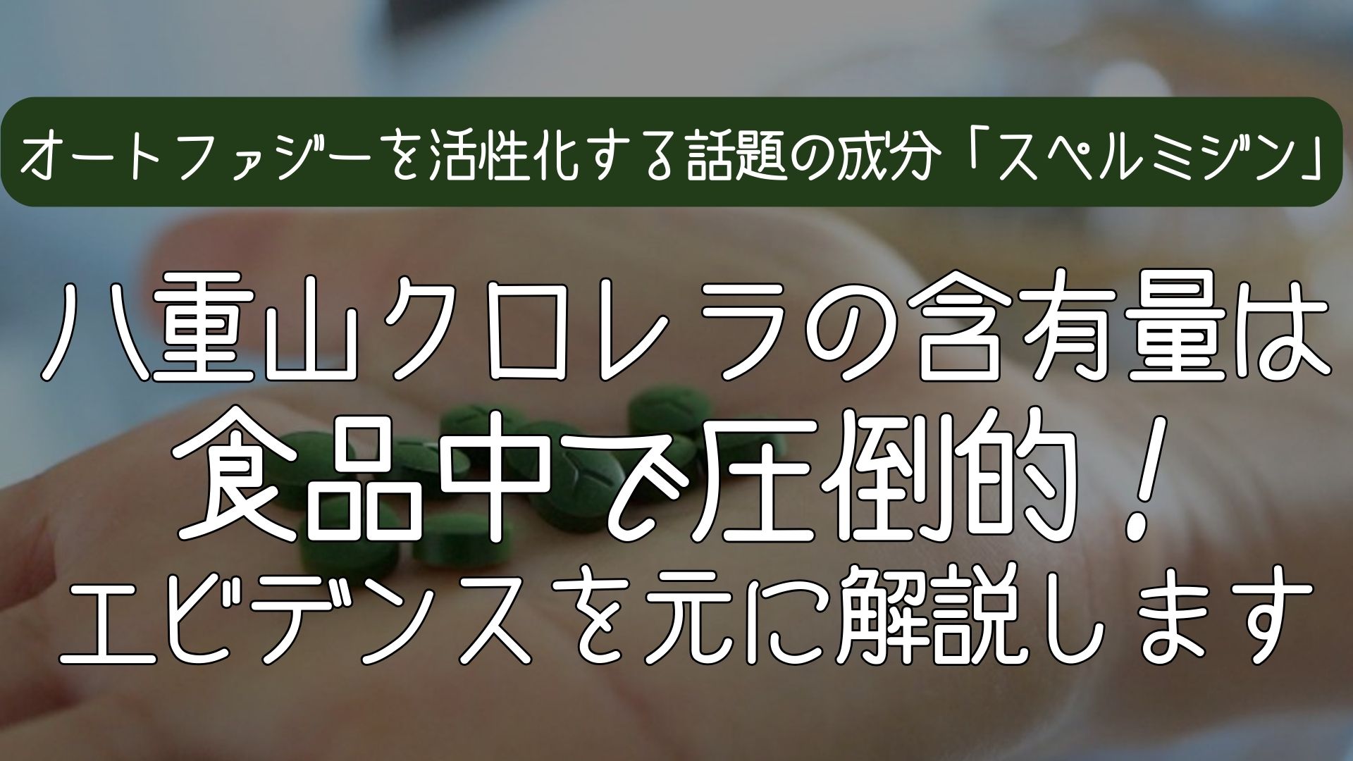 八重山クロレラのスペルミジン含有量は食品中で圧倒的——オートファジーを活性化する話題の成分「スペルミジン」をエビデンスを元に解説