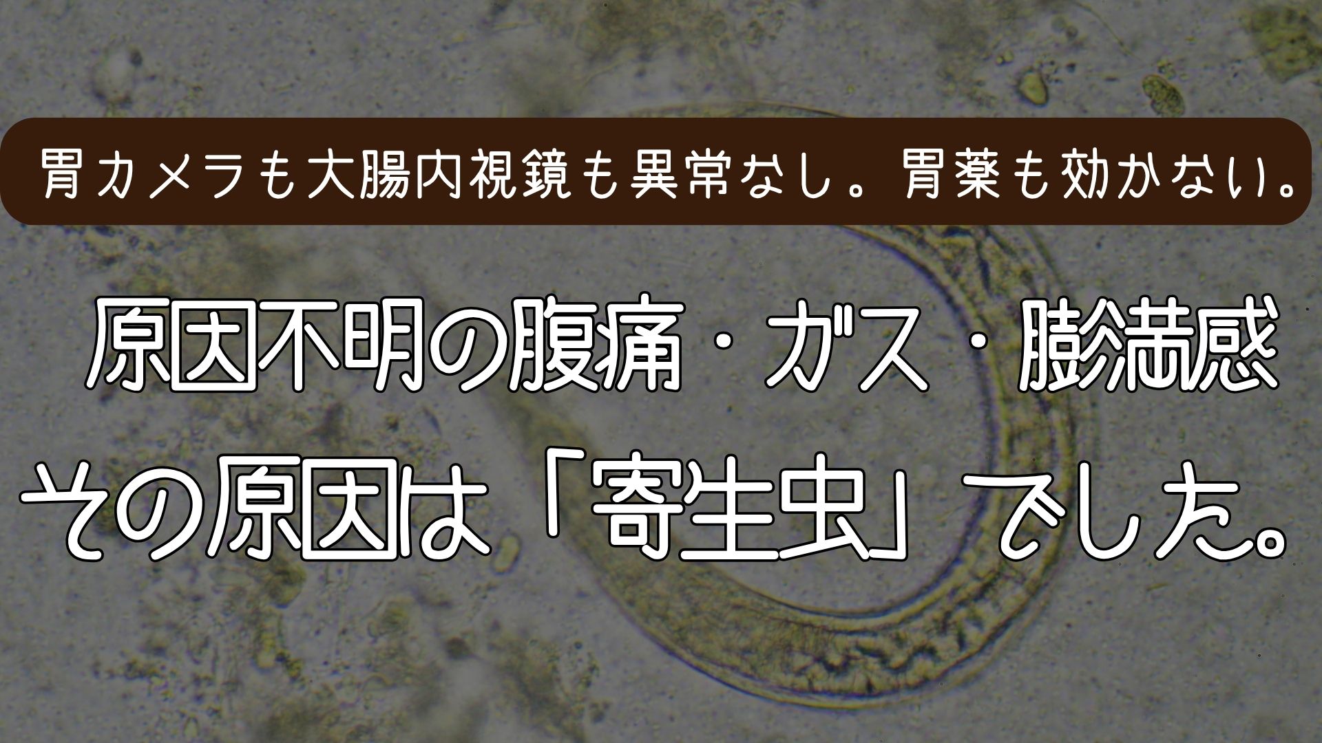 原因不明の腹痛・ガス・膨満感。その原因は「寄生虫」でした。